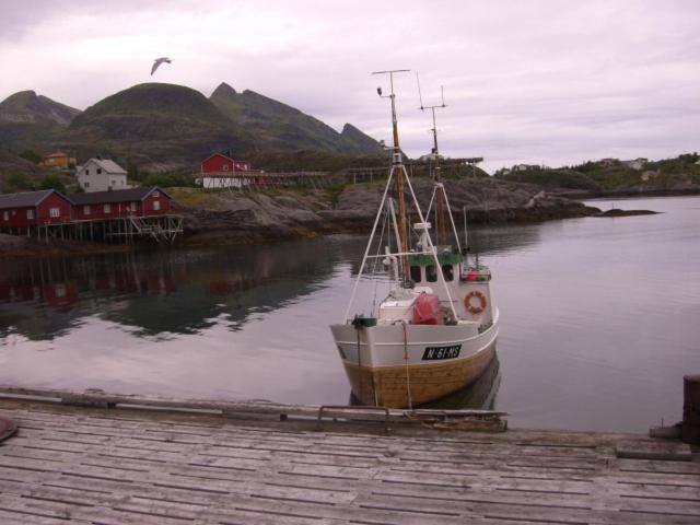 Knut Ellingsen Reine